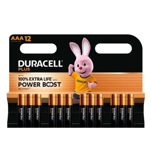 Blister 12 pile Duracell PLUS POWERBOOST - AAA MiniStilo